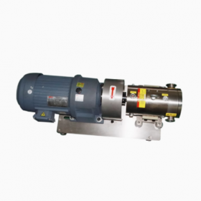Stainless Steel Cam Rotor Pump 