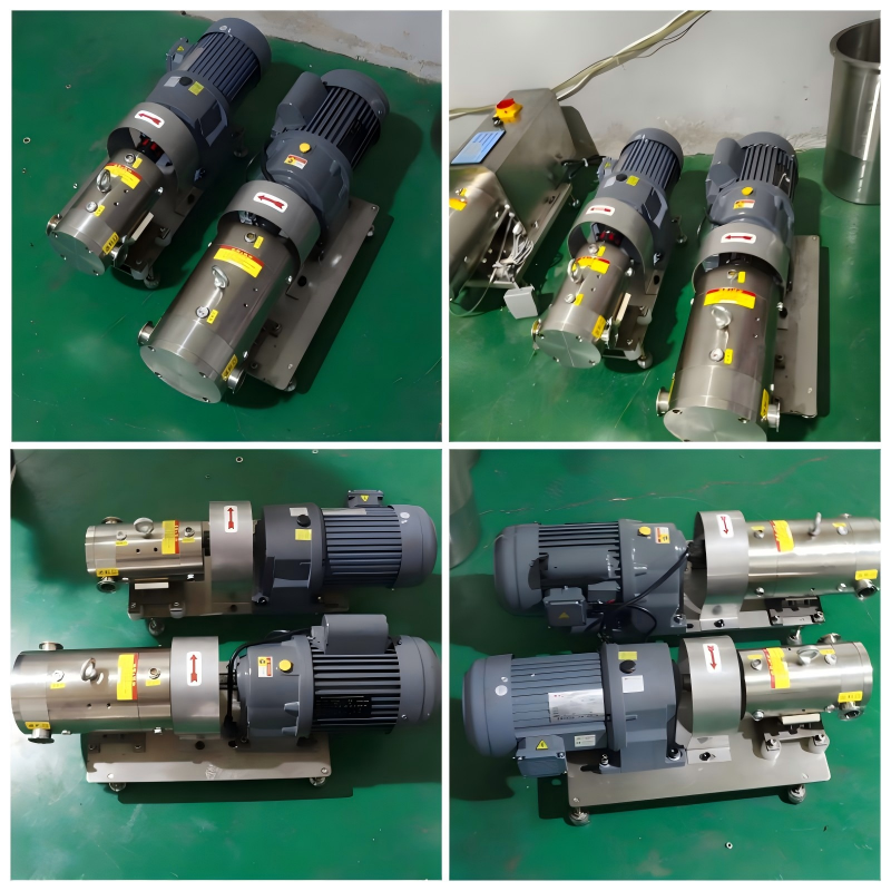 Cam Rotor Pump.png